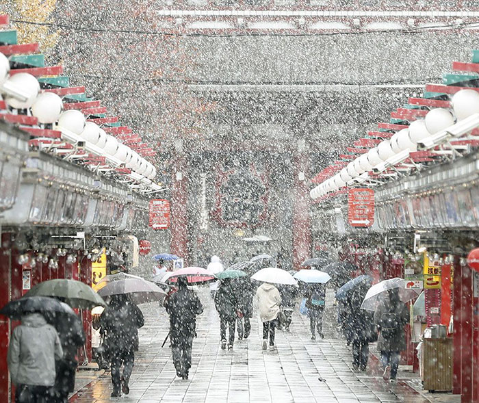 Tokyo, Which Hasn&#8217;t Seen November Snow In Over 50 Years, Surprised To Wake Up In A Winter Wonderland