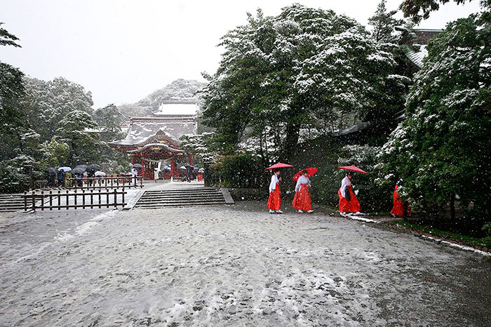 Tokyo, Which Hasn&#8217;t Seen November Snow In Over 50 Years, Surprised To Wake Up In A Winter Wonderland