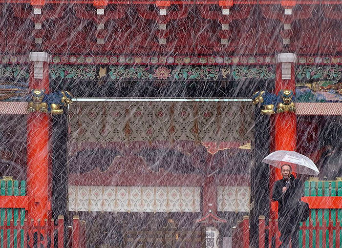 Tokyo, Which Hasn&#8217;t Seen November Snow In Over 50 Years, Surprised To Wake Up In A Winter Wonderland