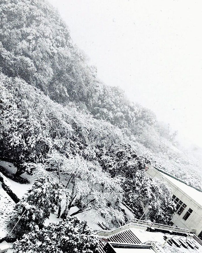 Tokyo, Which Hasn&#8217;t Seen November Snow In Over 50 Years, Surprised To Wake Up In A Winter Wonderland