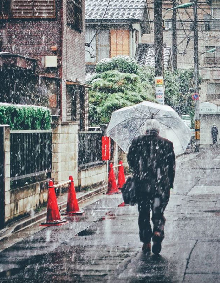 Tokyo, Which Hasn&#8217;t Seen November Snow In Over 50 Years, Surprised To Wake Up In A Winter Wonderland