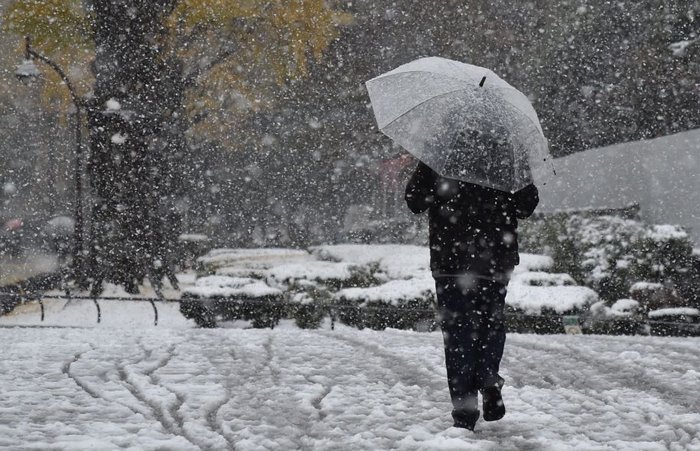 Tokyo, Which Hasn&#8217;t Seen November Snow In Over 50 Years, Surprised To Wake Up In A Winter Wonderland