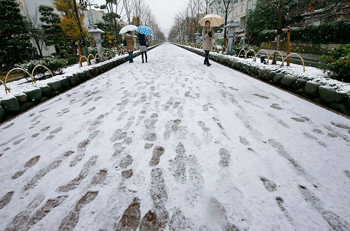 Tokyo, Which Hasn&#8217;t Seen November Snow In Over 50 Years, Surprised To Wake Up In A Winter Wonderland