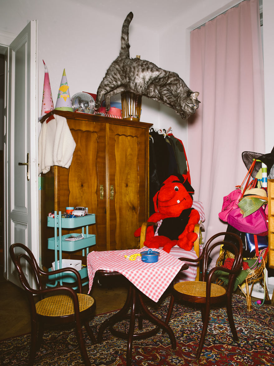 I Capture Curious Cats In Mid-Jump