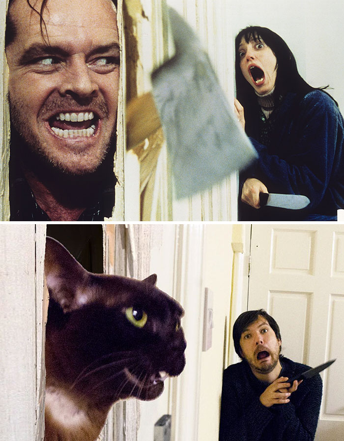 Guy And His Cats Recreate Famous Movie Scenes Together, And It Couldn’t Get Any Funnier Guy And His Cats Recreate Famous Movie Scenes Together, And It Couldn’t Get Any Funnier