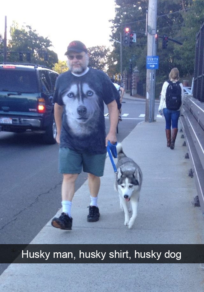 71 Of The Most Hilarious Posts About Huskies Ever