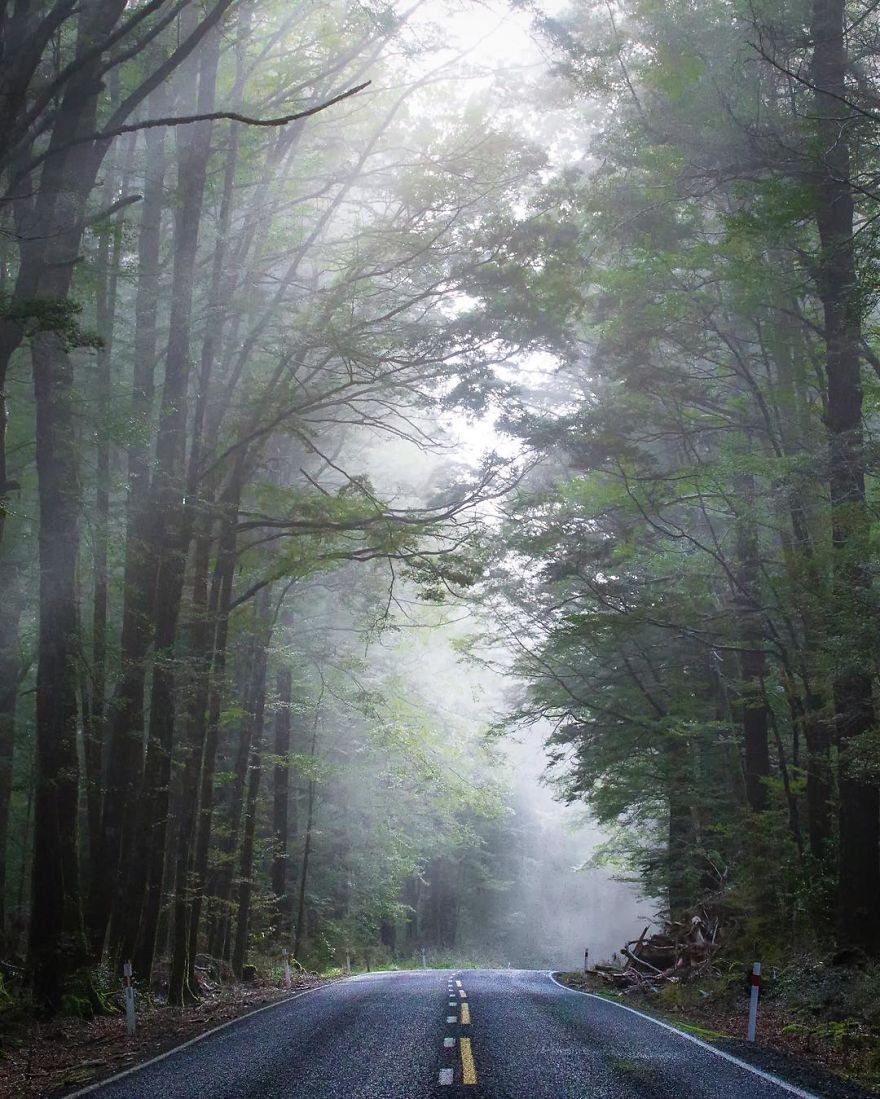 I Explore The Hidden Beauties Of New Zealands South Island I Explore The Hidden Beauties Of New Zealands South Island