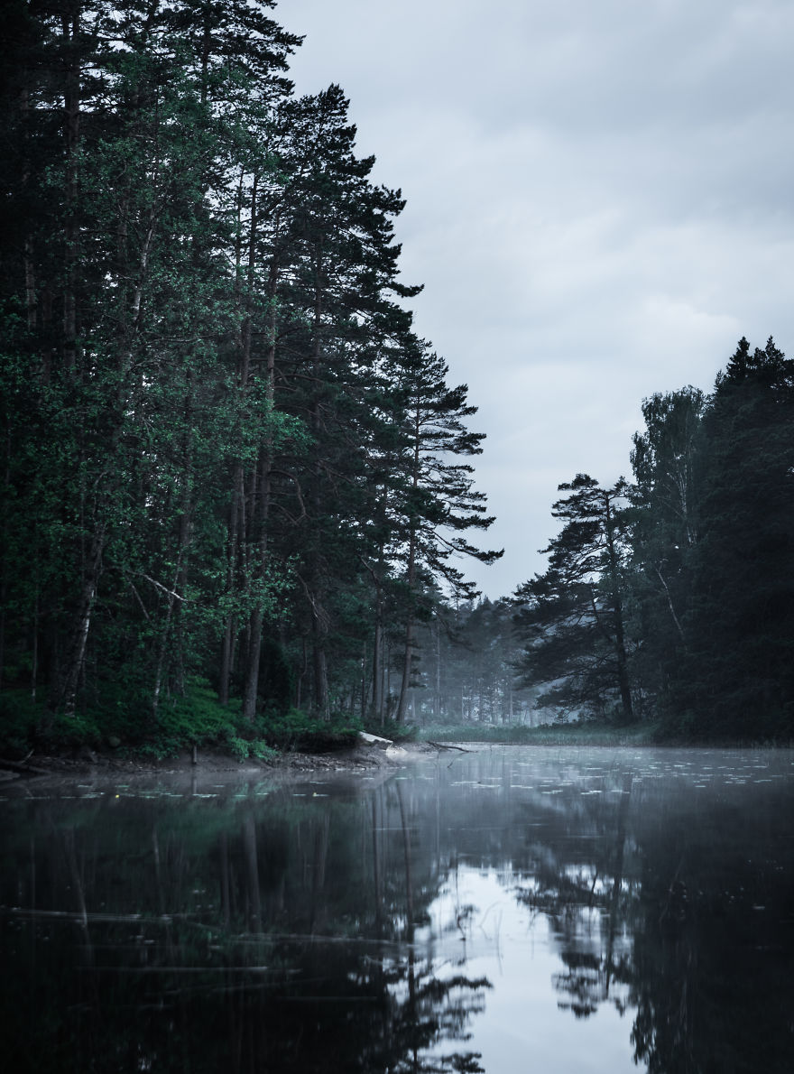 I Started Photographing Swedish Nature As A Therapy After I Injured My Back, Now It’s My Passion I Started Photographing Swedish Nature As A Therapy After I Injured My Back, Now It’s My Passion