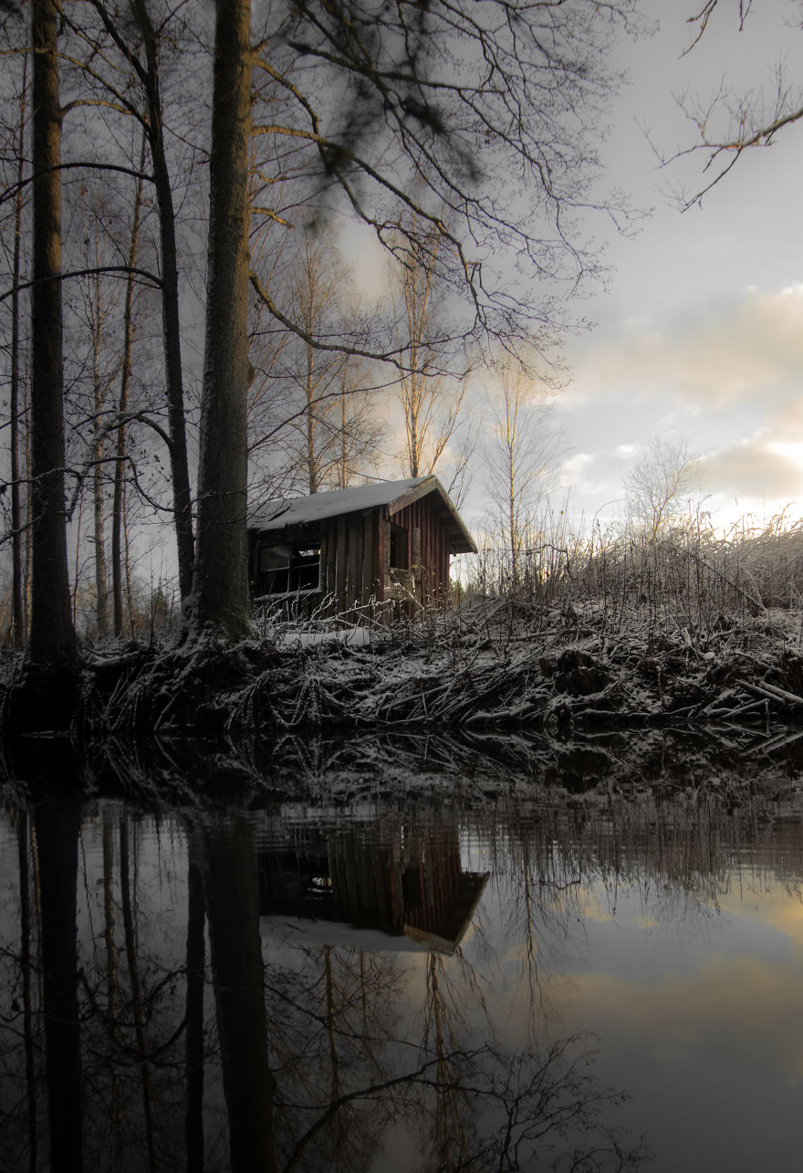 I Started Photographing Swedish Nature As A Therapy After I Injured My Back, Now It’s My Passion I Started Photographing Swedish Nature As A Therapy After I Injured My Back, Now It’s My Passion