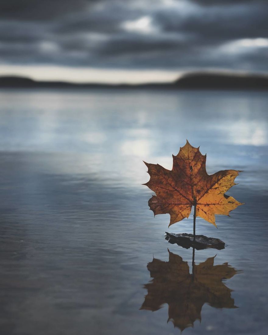 I Started Photographing Swedish Nature As A Therapy After I Injured My Back, Now It’s My Passion I Started Photographing Swedish Nature As A Therapy After I Injured My Back, Now It’s My Passion