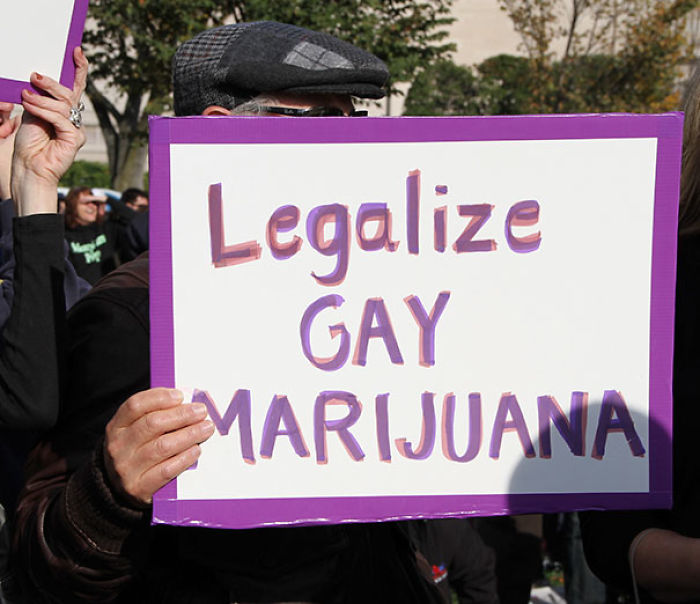 50 Of The Funniest Protest Signs Ever 50 Of The Funniest Protest Signs Ever