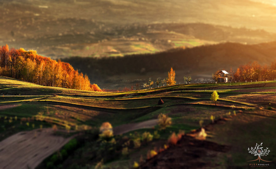 I Captured Fairytale-Like Autumn In Romania With $250 Camera To Show You Don’t Need Expensive Gear I Captured Fairytale-Like Autumn In Romania With $250 Camera To Show You Don’t Need Expensive Gear
