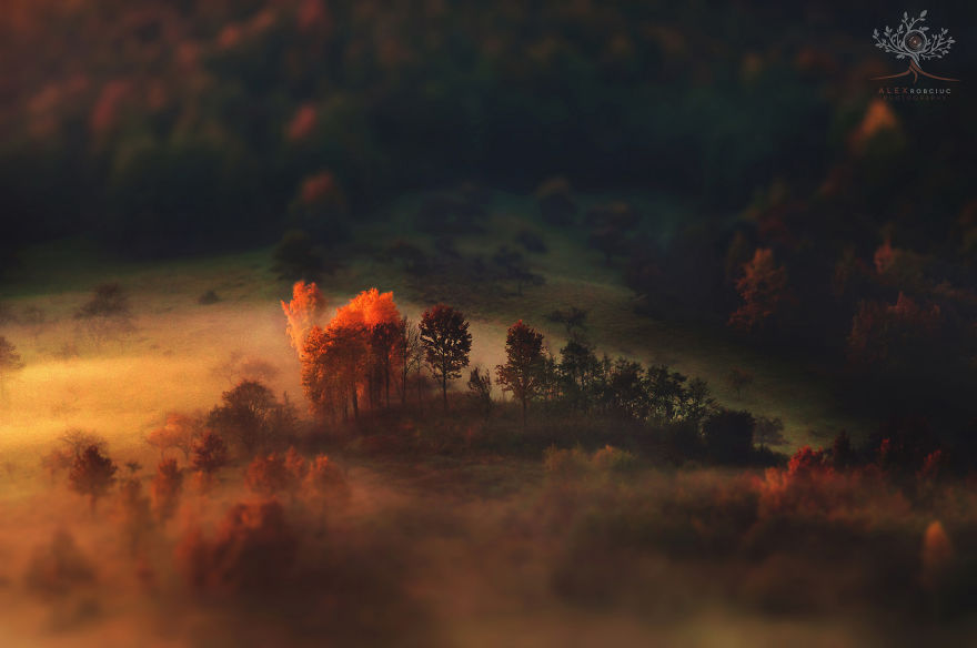 I Captured Fairytale-Like Autumn In Romania With $250 Camera To Show You Don’t Need Expensive Gear I Captured Fairytale-Like Autumn In Romania With $250 Camera To Show You Don’t Need Expensive Gear