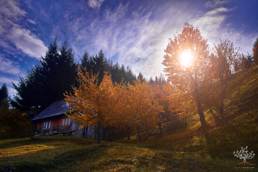I Captured Fairytale-Like Autumn In Romania With $250 Camera To Show You Don’t Need Expensive Gear I Captured Fairytale-Like Autumn In Romania With $250 Camera To Show You Don’t Need Expensive Gear