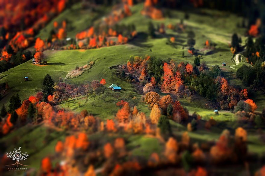 I Captured Fairytale-Like Autumn In Romania With $250 Camera To Show You Don’t Need Expensive Gear I Captured Fairytale-Like Autumn In Romania With $250 Camera To Show You Don’t Need Expensive Gear