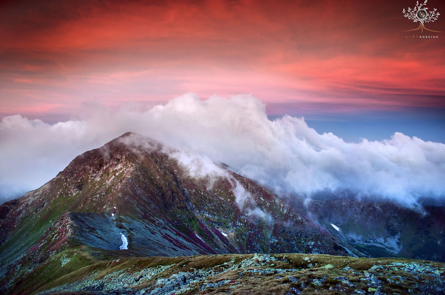 I Captured Fairytale-Like Autumn In Romania With $250 Camera To Show You Don’t Need Expensive Gear I Captured Fairytale-Like Autumn In Romania With $250 Camera To Show You Don’t Need Expensive Gear