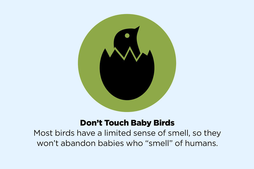 These 50 Facts You Always Believed Are Actually Fake These 50 Facts You Always Believed Are Actually Fake