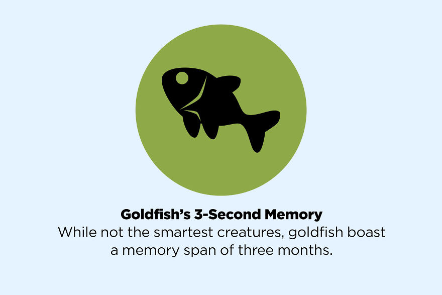 These 50 Facts You Always Believed Are Actually Fake These 50 Facts You Always Believed Are Actually Fake