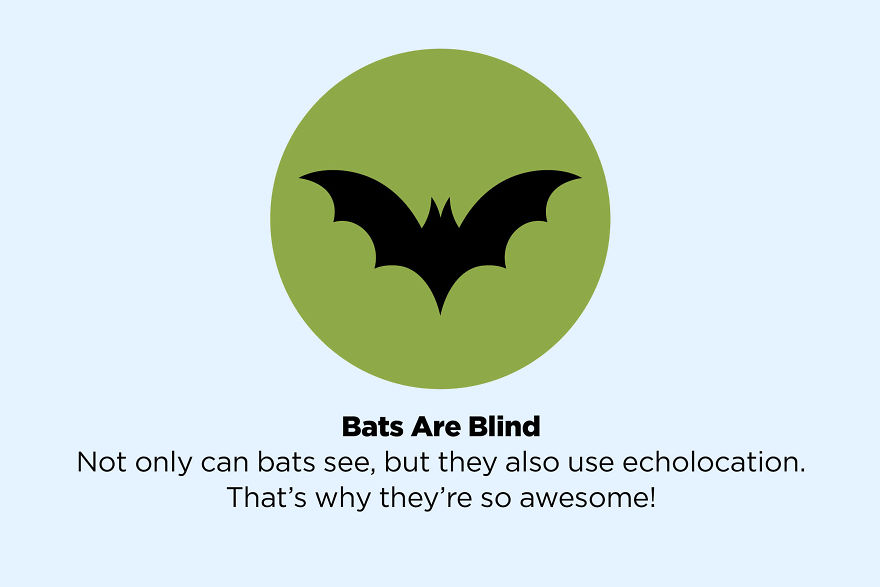 These 50 Facts You Always Believed Are Actually Fake These 50 Facts You Always Believed Are Actually Fake