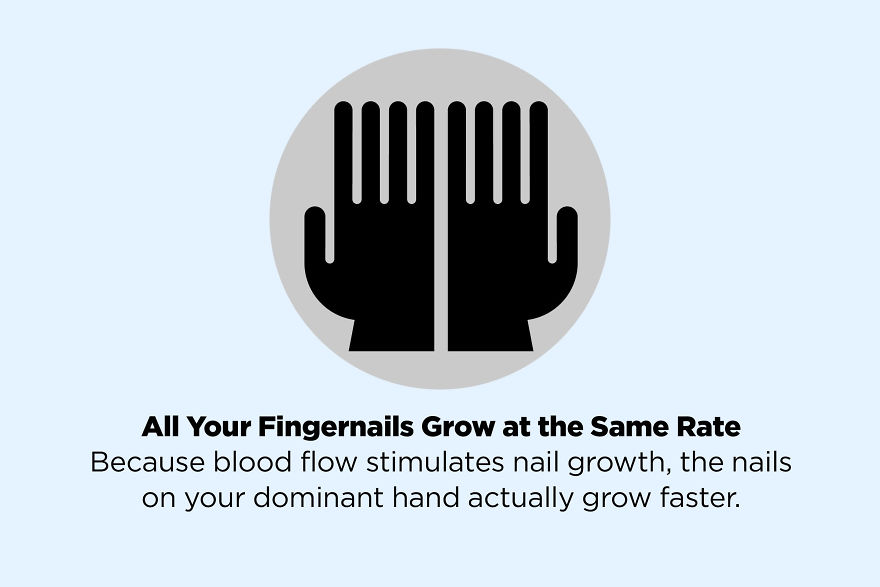 These 50 Facts You Always Believed Are Actually Fake These 50 Facts You Always Believed Are Actually Fake