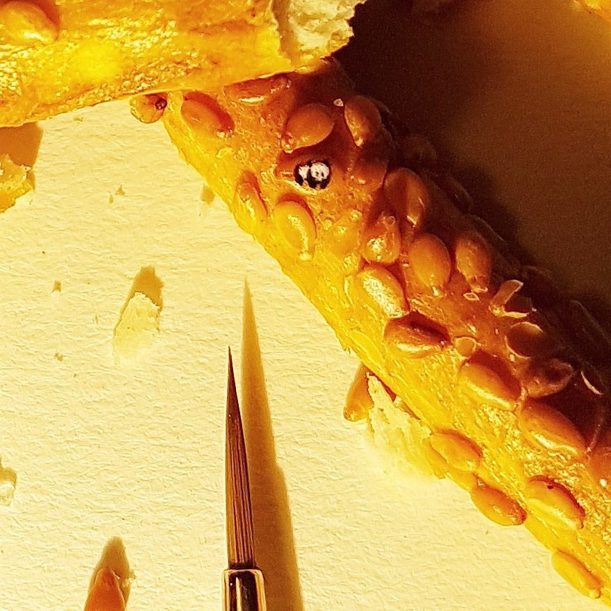 Turkish Artist Paints Unbelievably Tiny Paintings Onto Small Objects Turkish Artist Paints Unbelievably Tiny Paintings Onto Small Objects