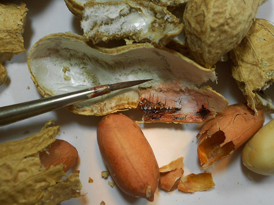 Turkish Artist Paints Unbelievably Tiny Paintings Onto Small Objects Turkish Artist Paints Unbelievably Tiny Paintings Onto Small Objects