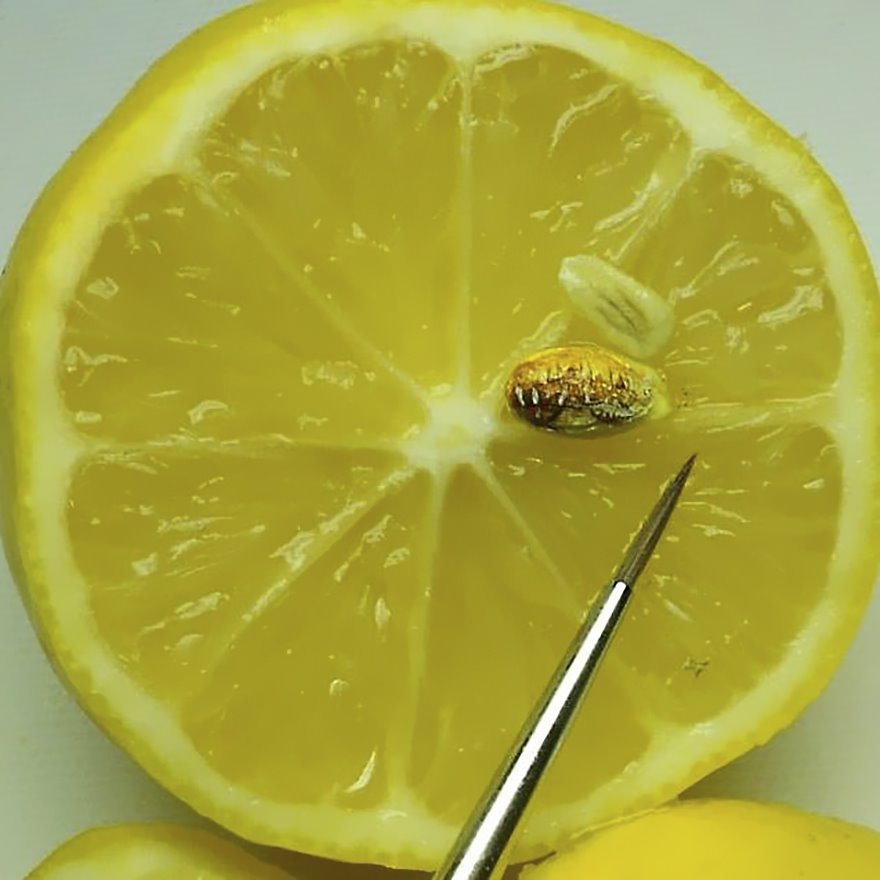 Turkish Artist Paints Unbelievably Tiny Paintings Onto Small Objects Turkish Artist Paints Unbelievably Tiny Paintings Onto Small Objects