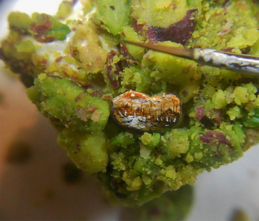 Turkish Artist Paints Unbelievably Tiny Paintings Onto Small Objects Turkish Artist Paints Unbelievably Tiny Paintings Onto Small Objects