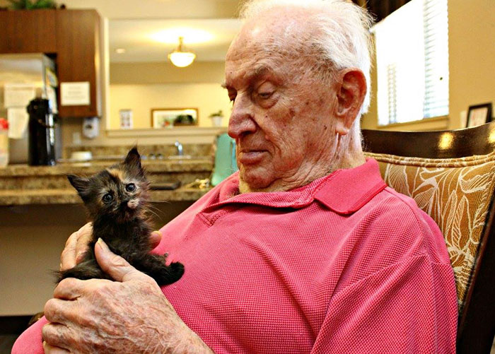 Animal Shelter Partners With Elderly Care Facility To Save Both Orphaned Kittens And Elders Animal Shelter Partners With Elderly Care Facility To Save Both Orphaned Kittens And Elders