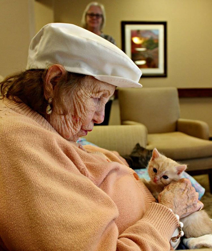 Animal Shelter Partners With Elderly Care Facility To Save Both Orphaned Kittens And Elders Animal Shelter Partners With Elderly Care Facility To Save Both Orphaned Kittens And Elders