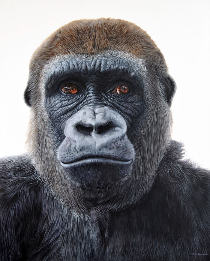 100 Incredibly Realistic Artworks That Are Hard to Believe Are Not Photographs 100 Incredibly Realistic Artworks That Are Hard to Believe Are Not Photographs