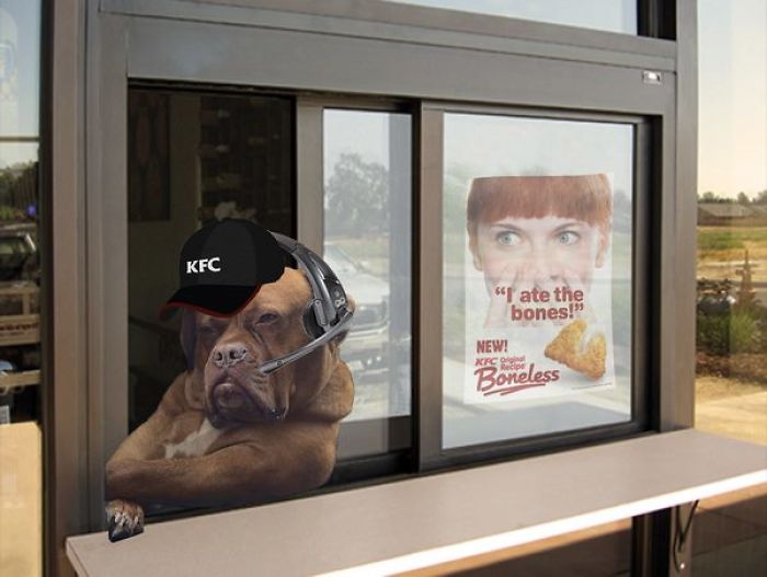 Badass Dog Hanging Out In A Van Sparks A Hilarious Photoshop Battle (32 Pics)