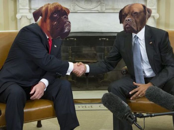 Badass Dog Hanging Out In A Van Sparks A Hilarious Photoshop Battle (32 Pics)