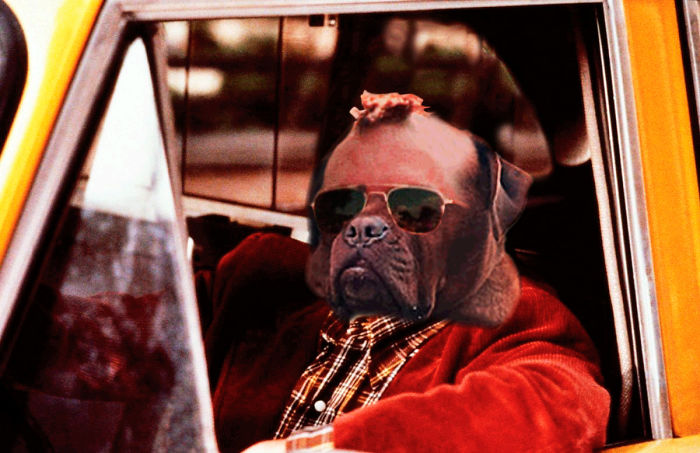 Badass Dog Hanging Out In A Van Sparks A Hilarious Photoshop Battle (32 Pics)