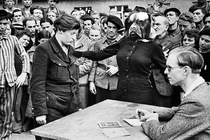 Badass Dog Hanging Out In A Van Sparks A Hilarious Photoshop Battle (32 Pics)