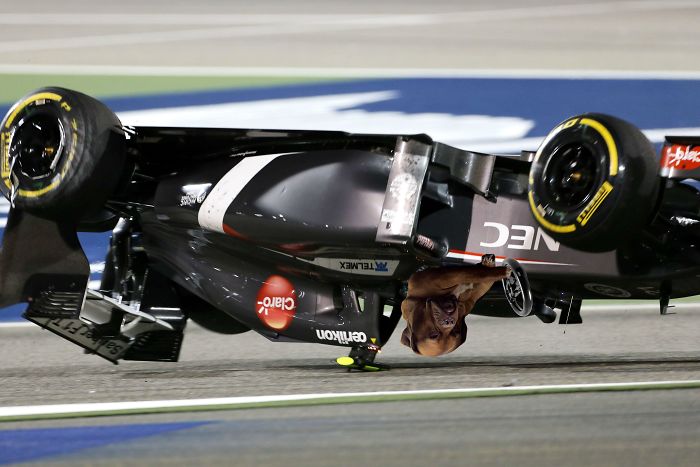 Badass Dog Hanging Out In A Van Sparks A Hilarious Photoshop Battle (32 Pics)