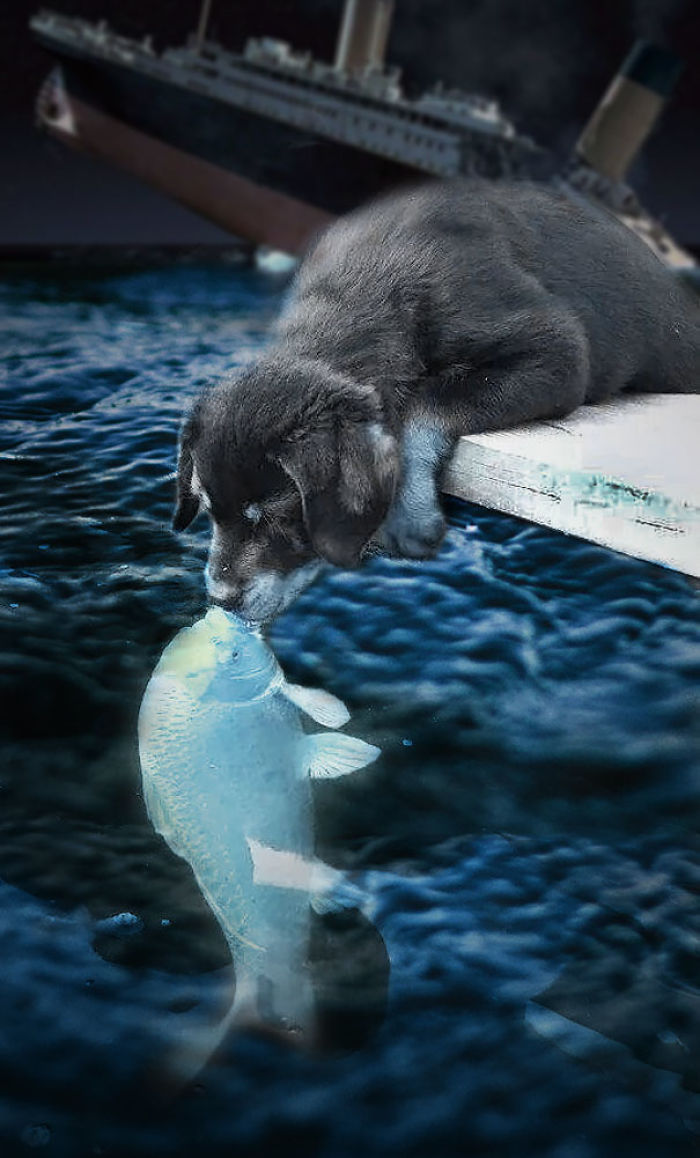 Puppy Kissing A Fish Inspires A Hilarious Photoshop Battle (30 Pics)