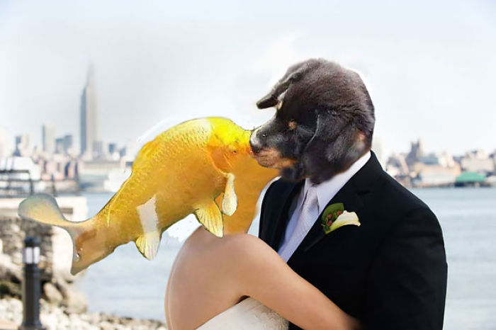 Puppy Kissing A Fish Inspires A Hilarious Photoshop Battle (30 Pics)