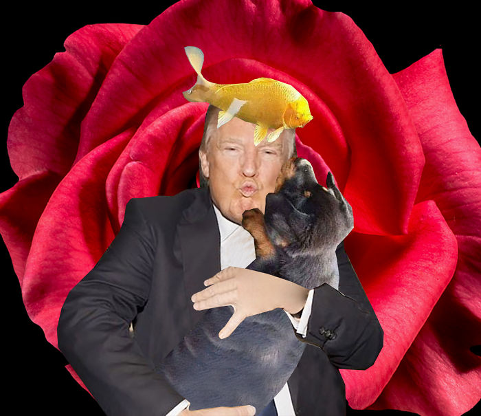 Puppy Kissing A Fish Inspires A Hilarious Photoshop Battle (30 Pics)