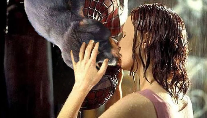 Puppy Kissing A Fish Inspires A Hilarious Photoshop Battle (30 Pics)