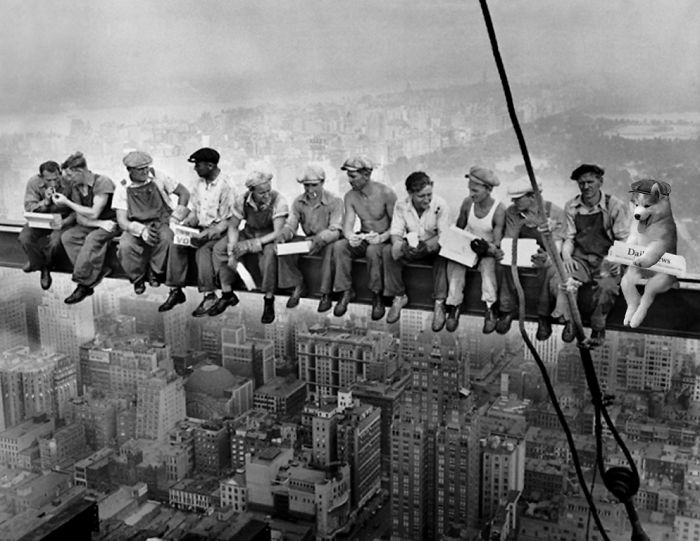 Husky Gets Stuck On Coconut Tree, The Internet Decides To Help&#8230; With Photoshop (68 Pics)