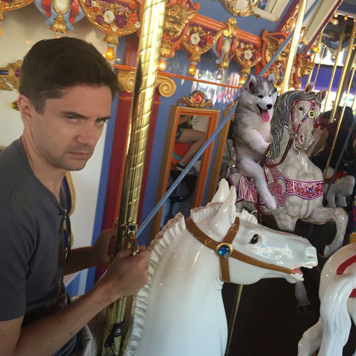 Husky Gets Stuck On Coconut Tree, The Internet Decides To Help&#8230; With Photoshop (68 Pics)