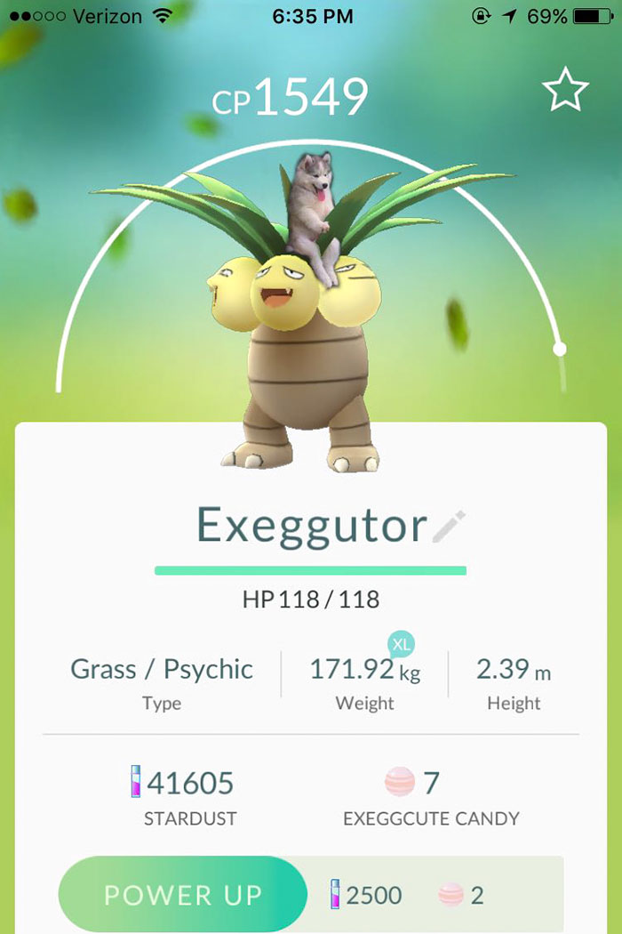 Husky Gets Stuck On Coconut Tree, The Internet Decides To Help&#8230; With Photoshop (68 Pics)