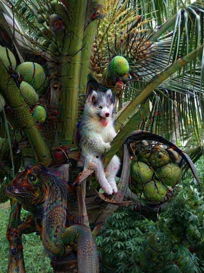 Husky Gets Stuck On Coconut Tree, The Internet Decides To Help&#8230; With Photoshop (68 Pics)