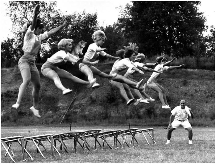 Husky Gets Stuck On Coconut Tree, The Internet Decides To Help&#8230; With Photoshop (68 Pics)