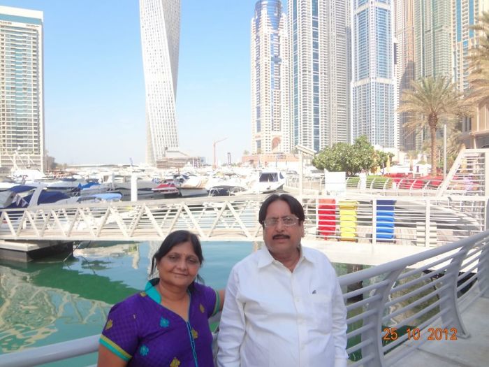 Husky Gets Stuck On Coconut Tree, The Internet Decides To Help&#8230; With Photoshop (68 Pics)