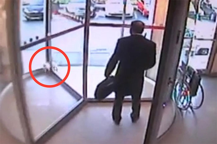 Emergency Doctor Uses CPR on Stray Cat To Save Her Life, Adopts Her Afterwards