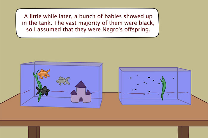 Accidental Racism Accidental Racism