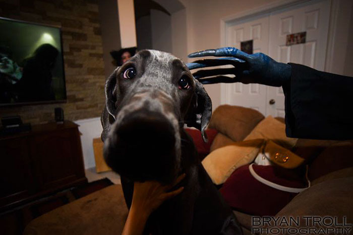 Guy Makes Fully-Functional Nikon Camera Halloween Costume, Spends Whole Evening Taking Pics Guy Makes Fully-Functional Nikon Camera Halloween Costume, Spends Whole Evening Taking Pics