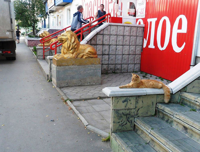 191 Perfectly Timed Street Photography Shots That Show Timing Is Everything